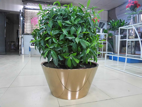 廣東汕頭不銹鋼花盆哪家做的好？